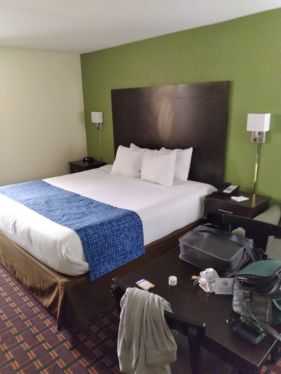 Travelodge by Wyndham Clarksville photo 2