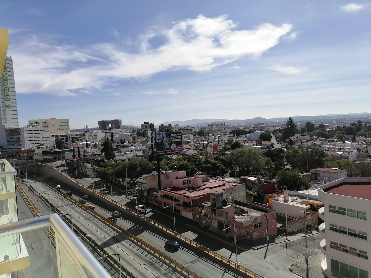 Hotel Mirto photo 3