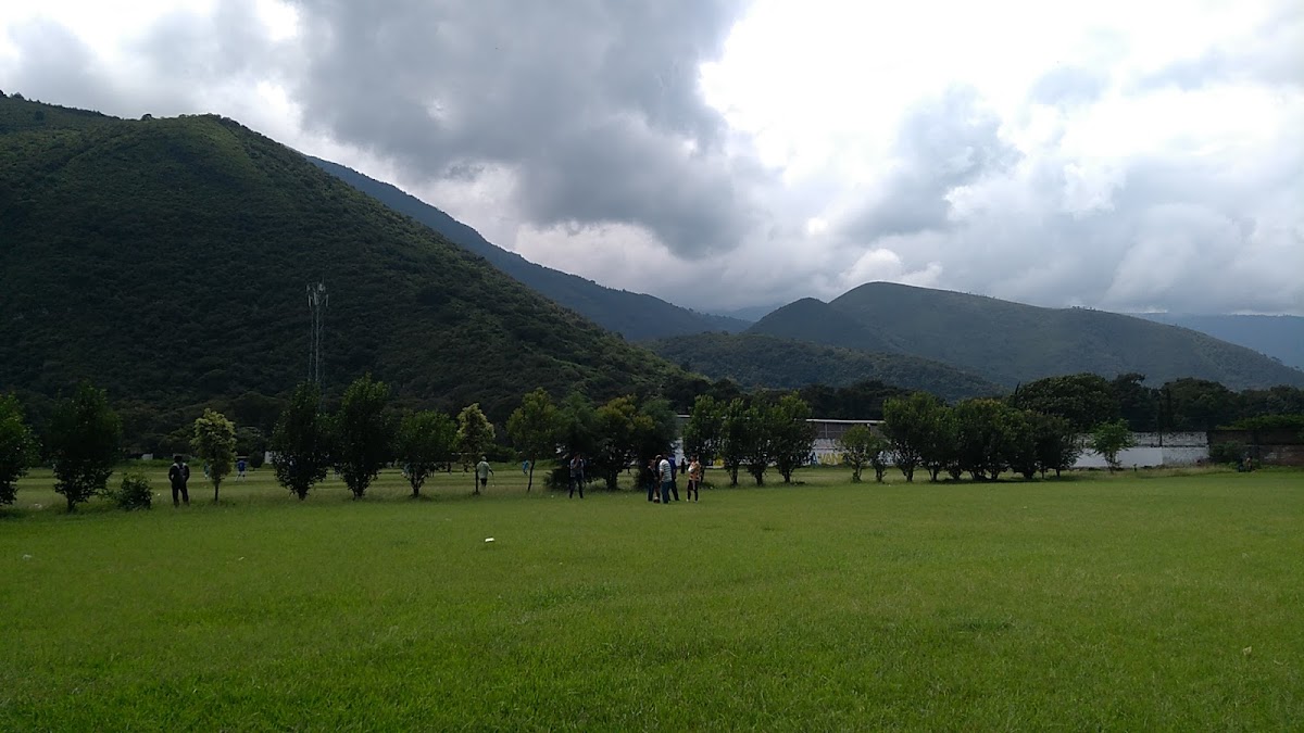 Campo Amor photo 2