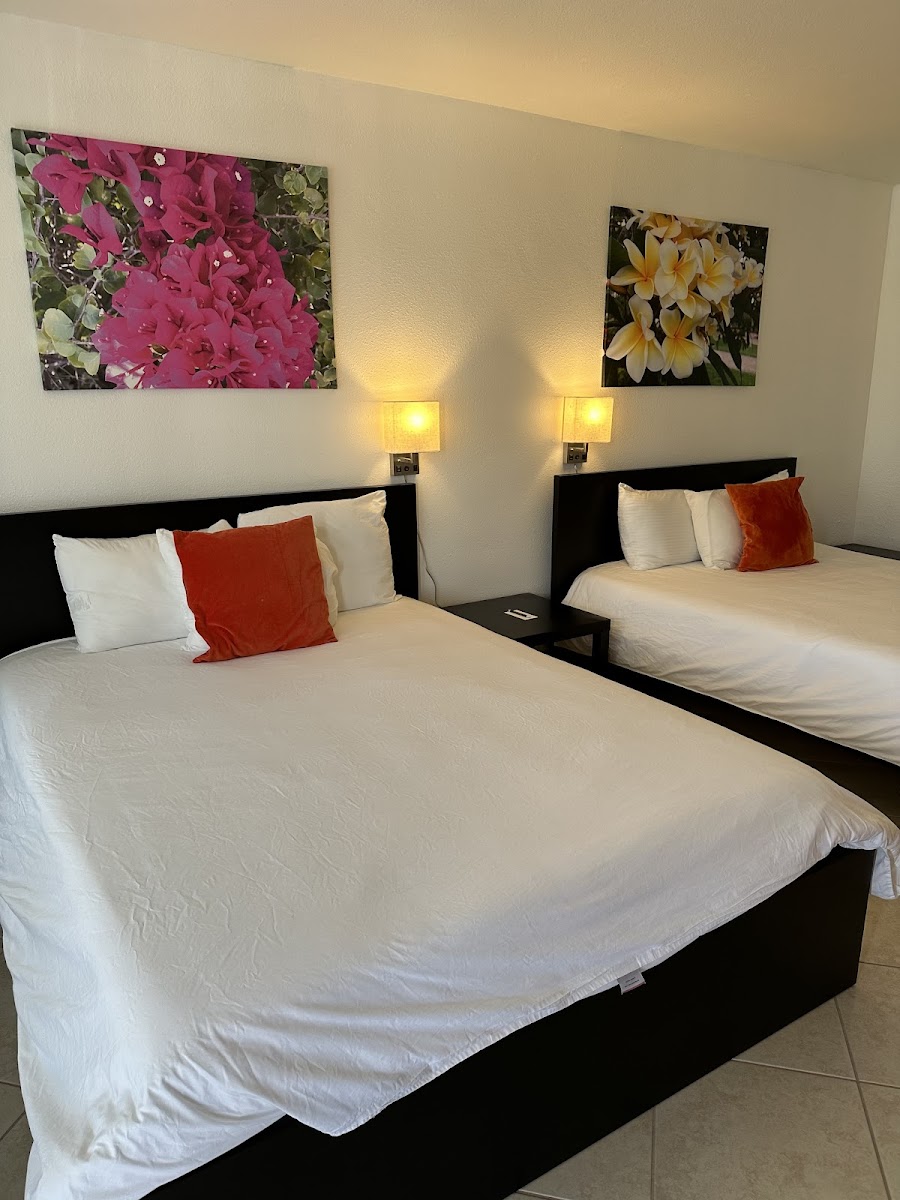 Dolphin Key Resort photo 2