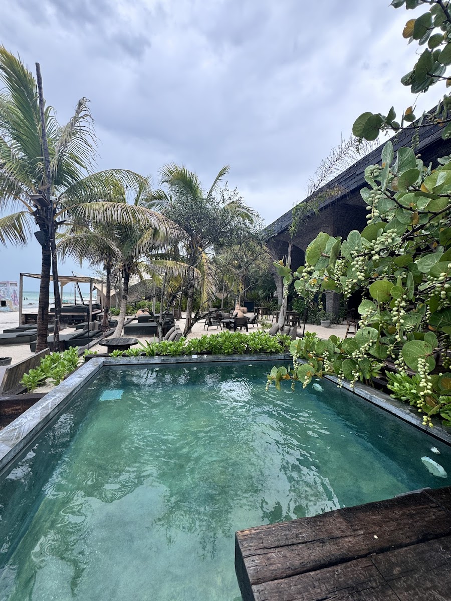 Nomade Holbox photo 3