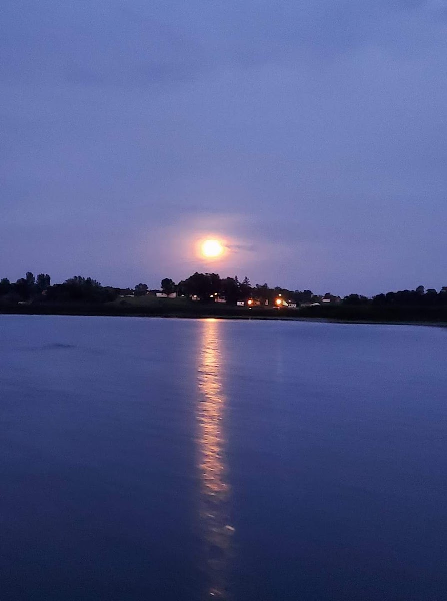 Sunset Bay Resort photo 3