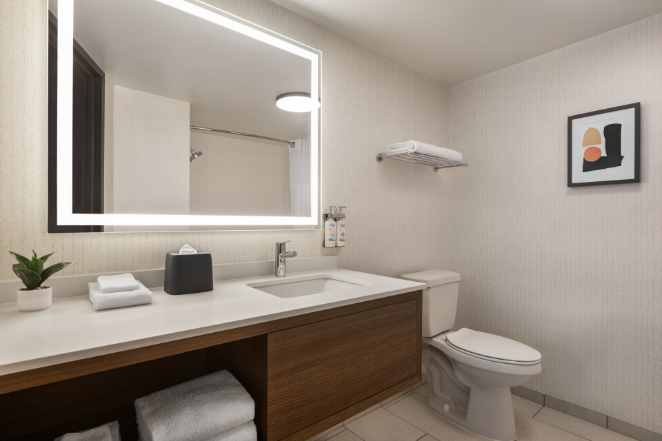 Holiday Inn Nashville Downtown - Stadium by IHG photo 3