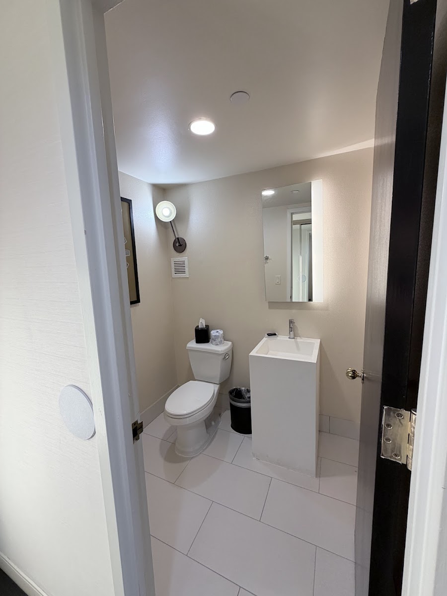 Renaissance St. Louis Airport Hotel photo 3