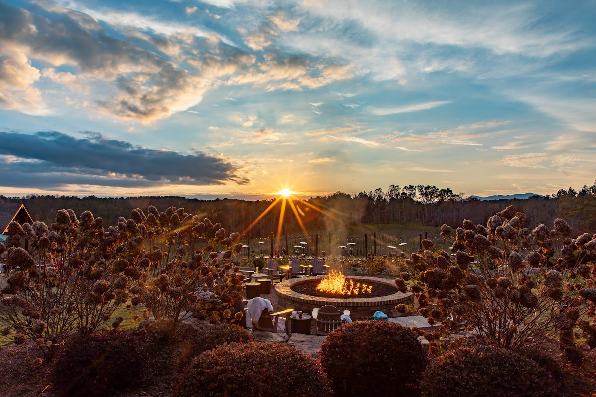 Mountain Brook Vineyards