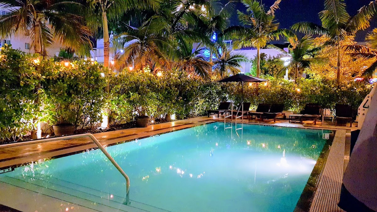 San Juan Hotel South Beach photo 3