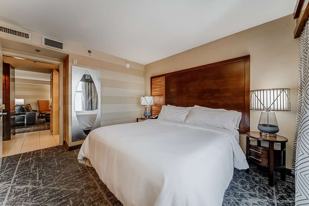 Embassy Suites by Hilton Atlanta Kennesaw Town Center photo 2