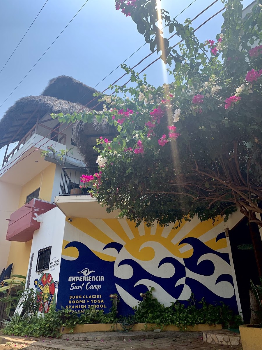 Experiencia Surf Camp