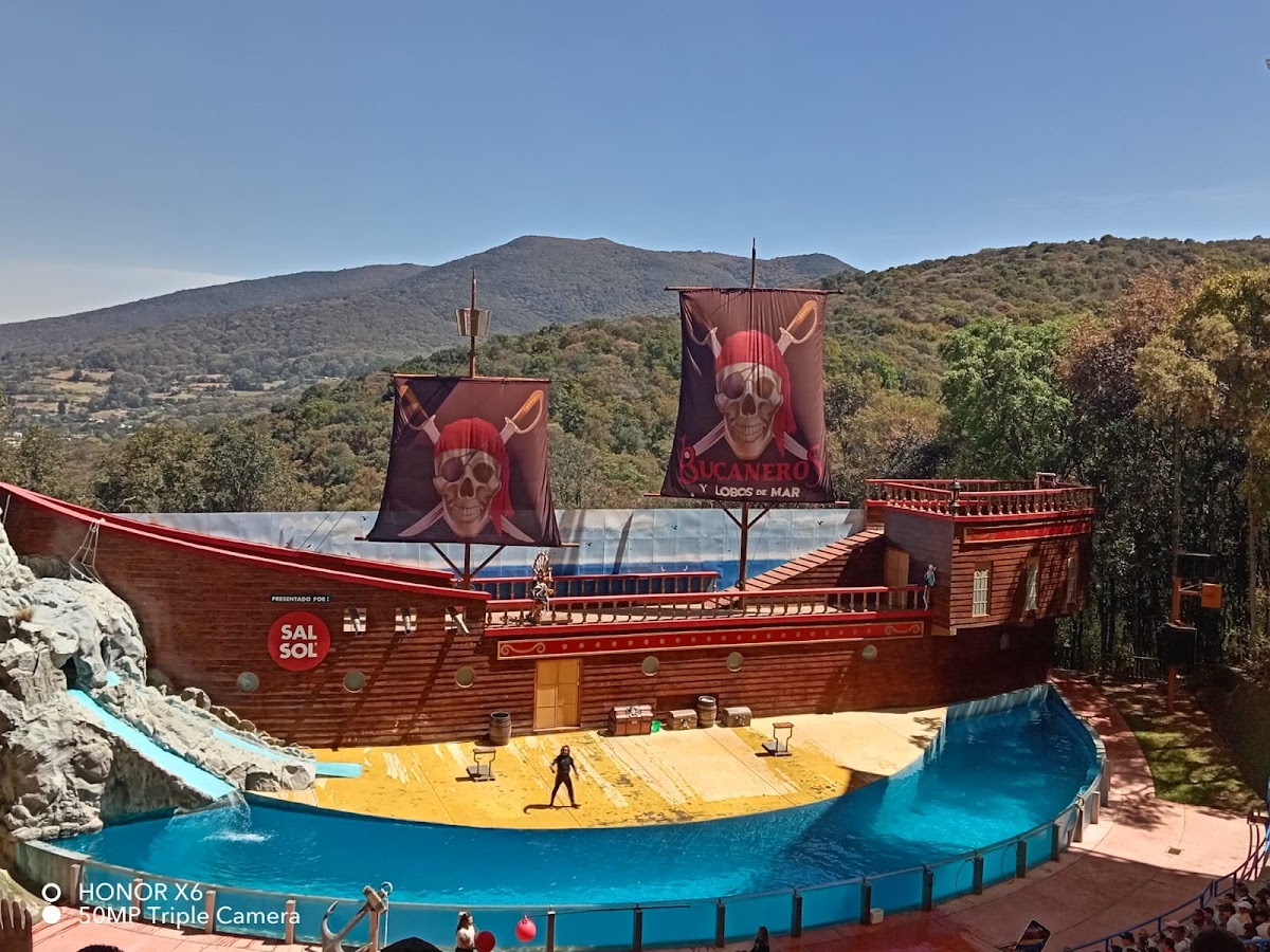 Show Bucaneros y Lobos de mar