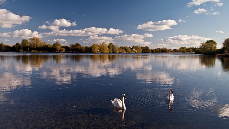 Cotswold Water Park