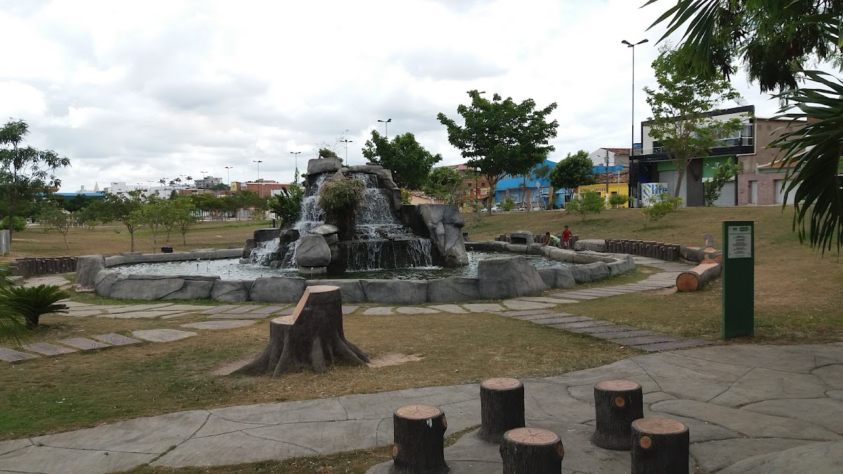 Bosque das Arapiracas