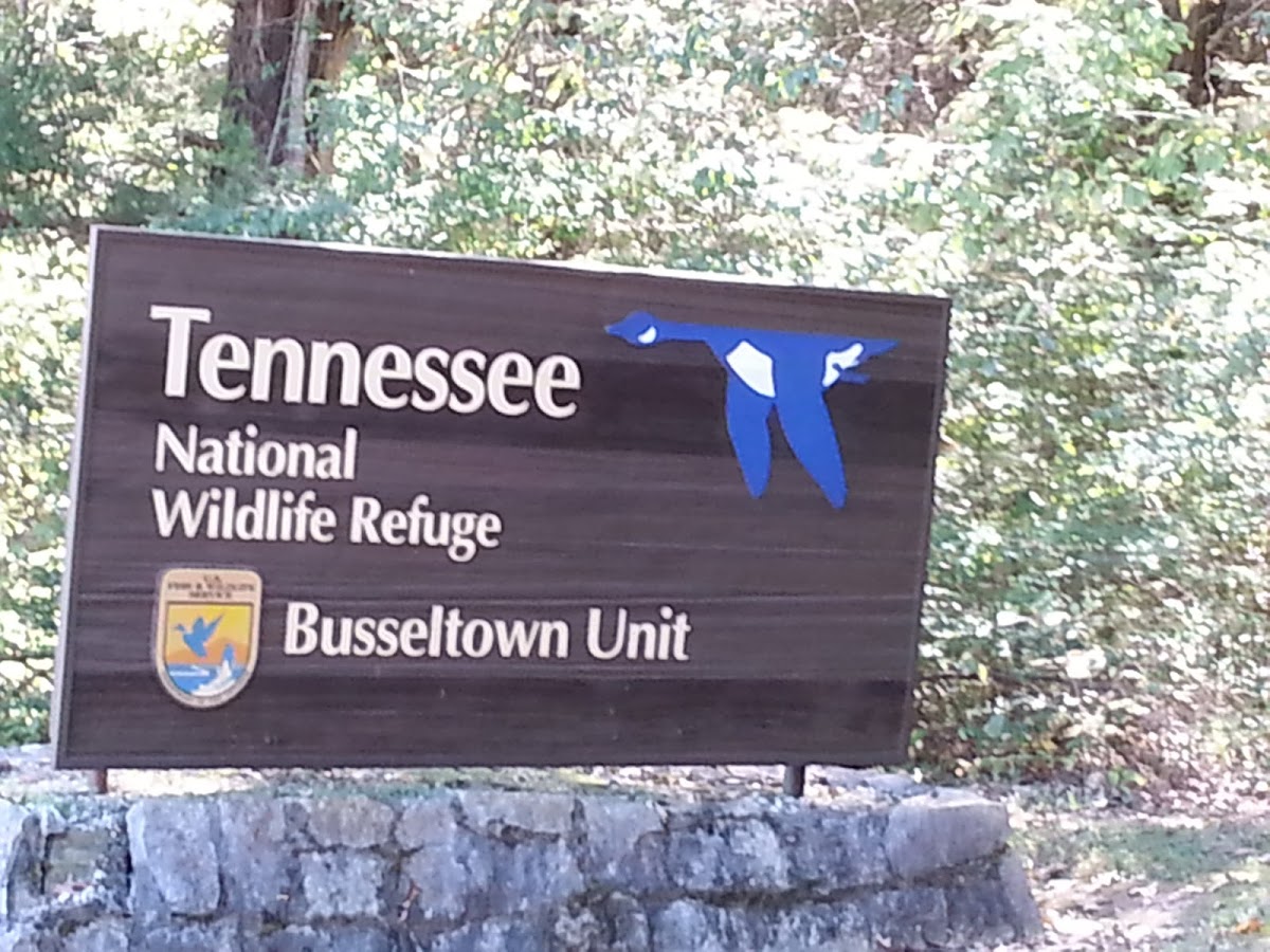 Tennessee National Wildlife Refuge - Busseltown Unit