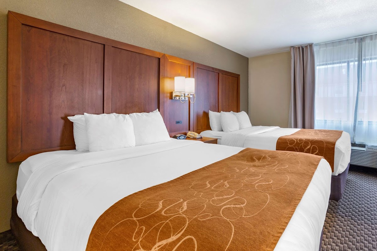 Comfort Suites Hobbs photo 2