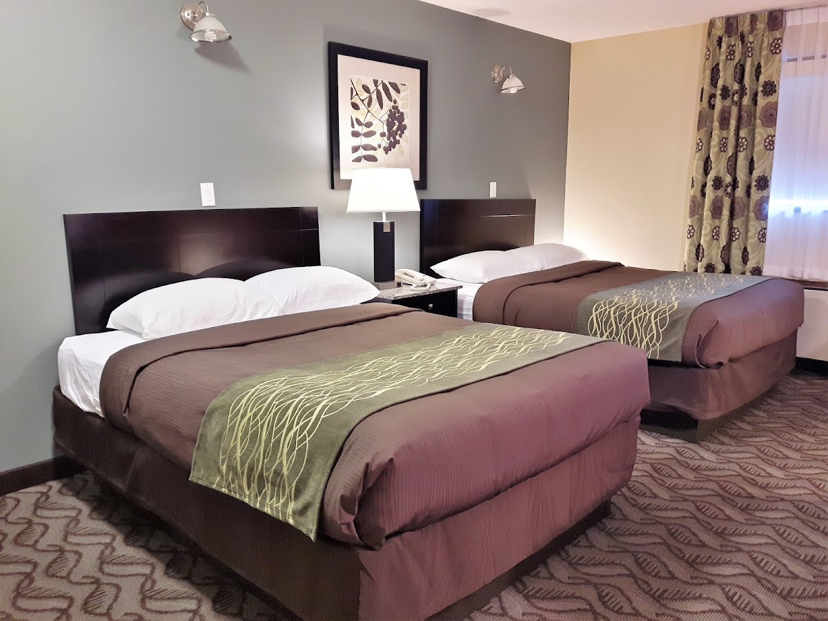 Lacombe Motor Inn photo 2