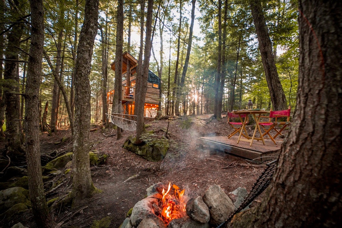 Stone City Treehouse photo 3