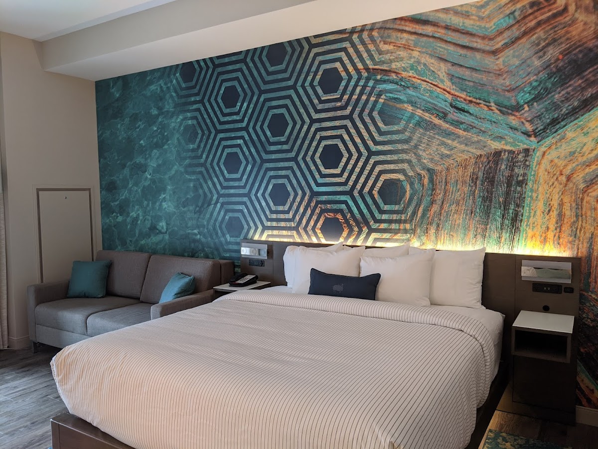 Cambria Hotel St. Petersburg-Madeira Beach Marina photo 2