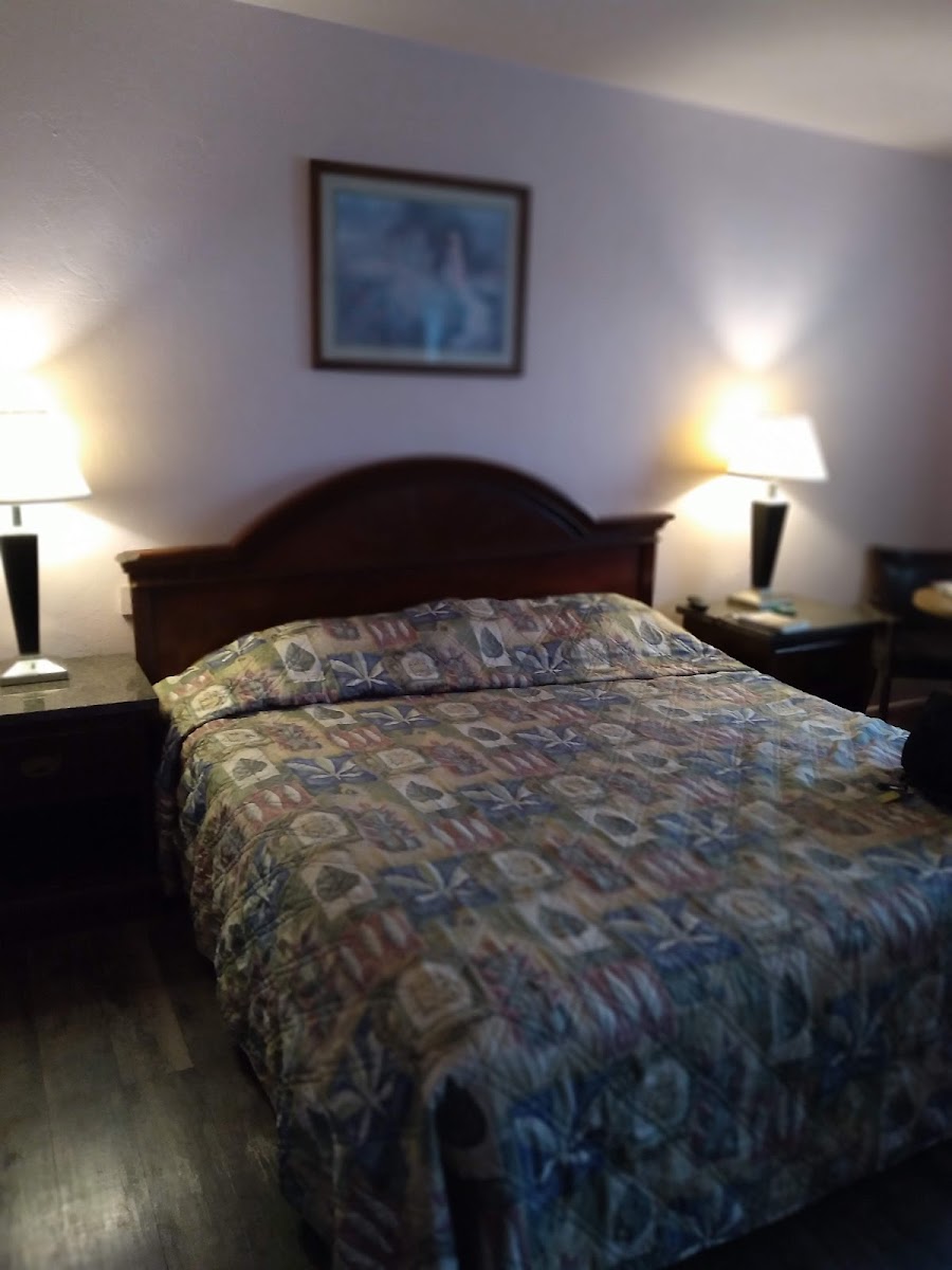 Springs Inn by Capital O I 25 photo 2
