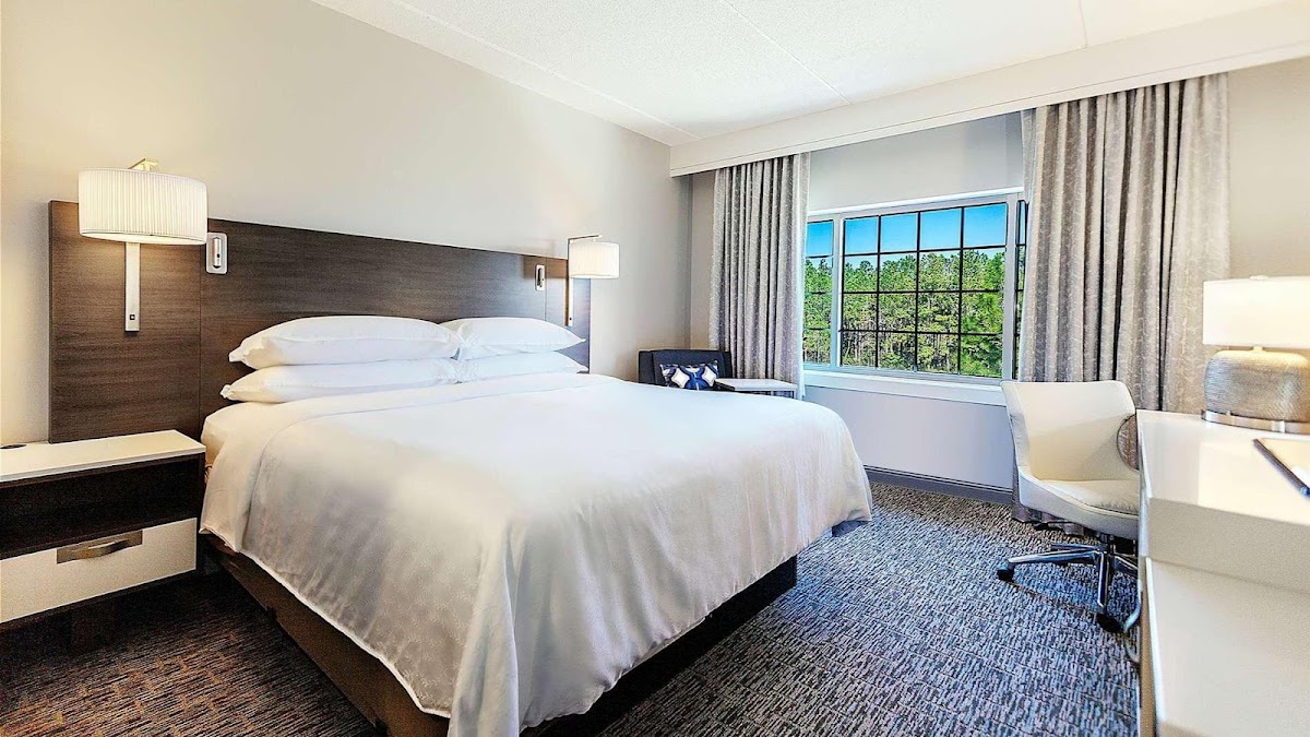 Sheraton Jacksonville Hotel photo 2