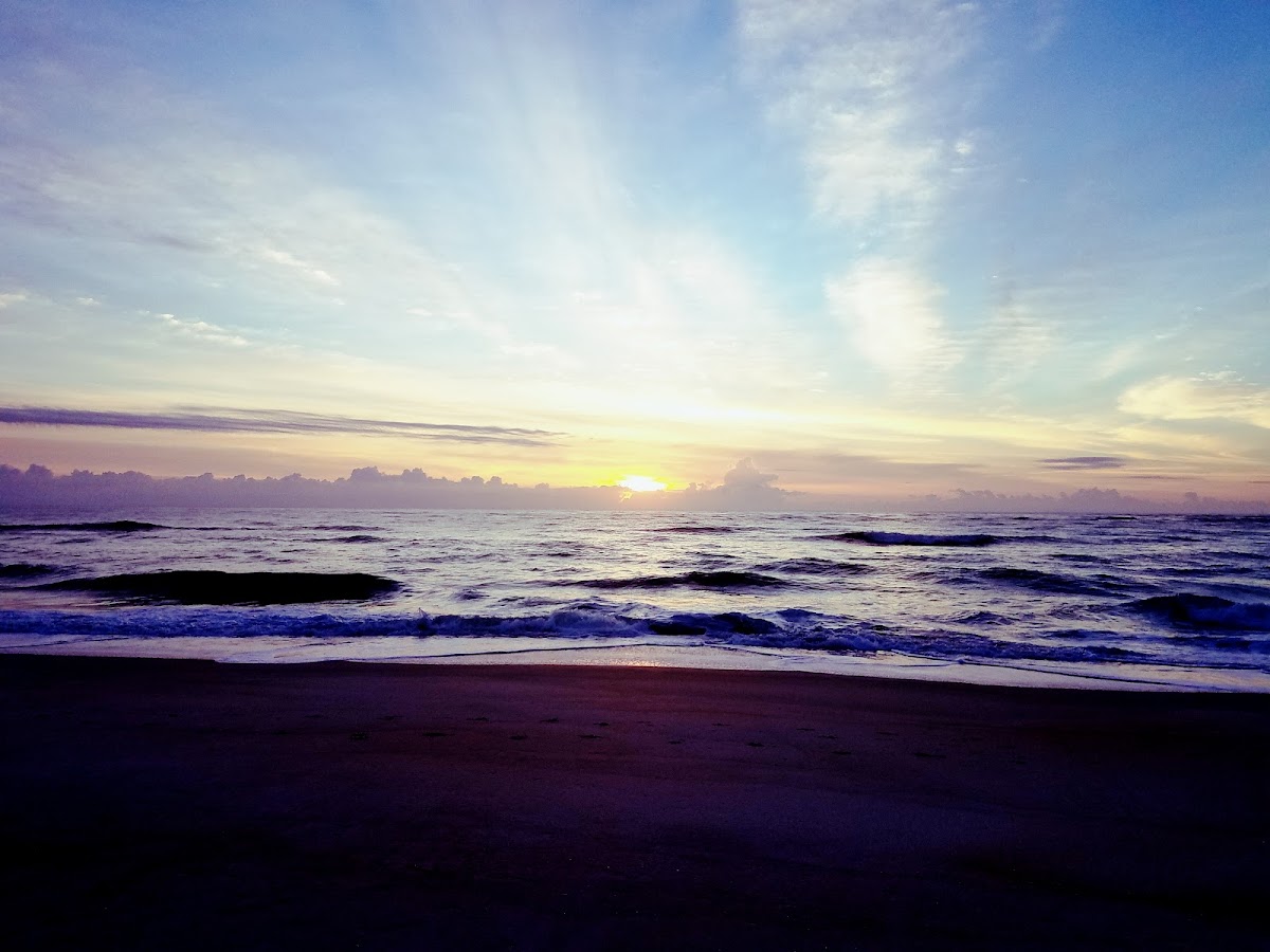 Paradise Ocean Beach House photo 2