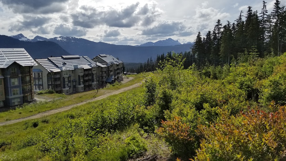 Bear Lodge, Mount Washington