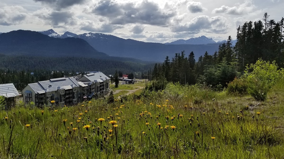 Bear Lodge, Mount Washington photo 2