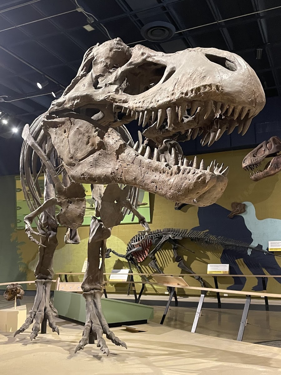 Cleveland Museum of Natural History