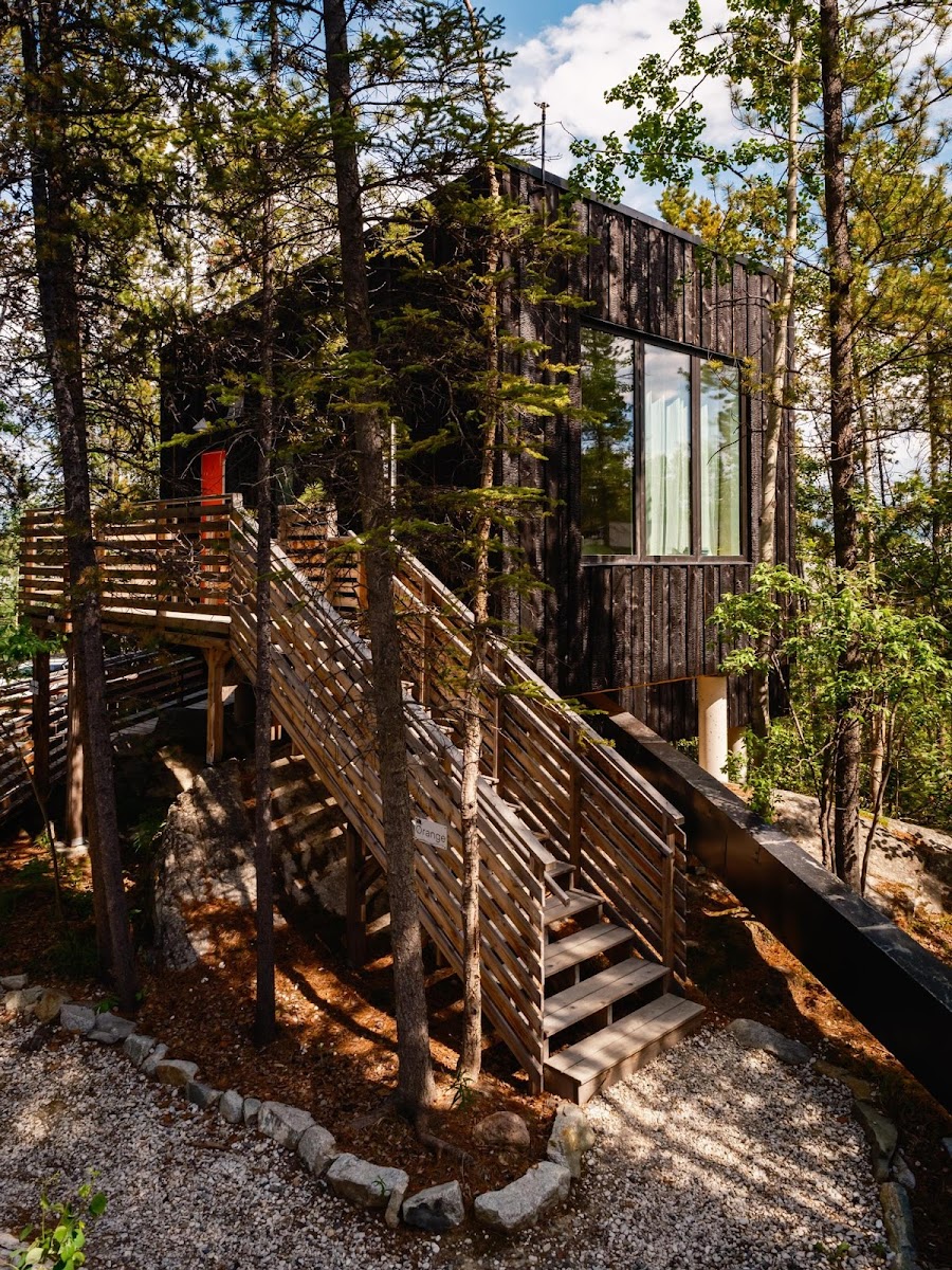 Yukon Black Spruce Landscape Hotel