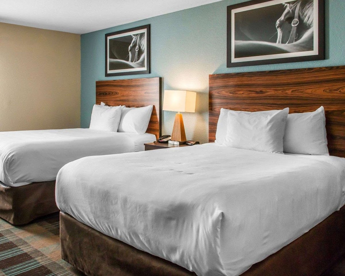 MainStay Suites Cotulla photo 2