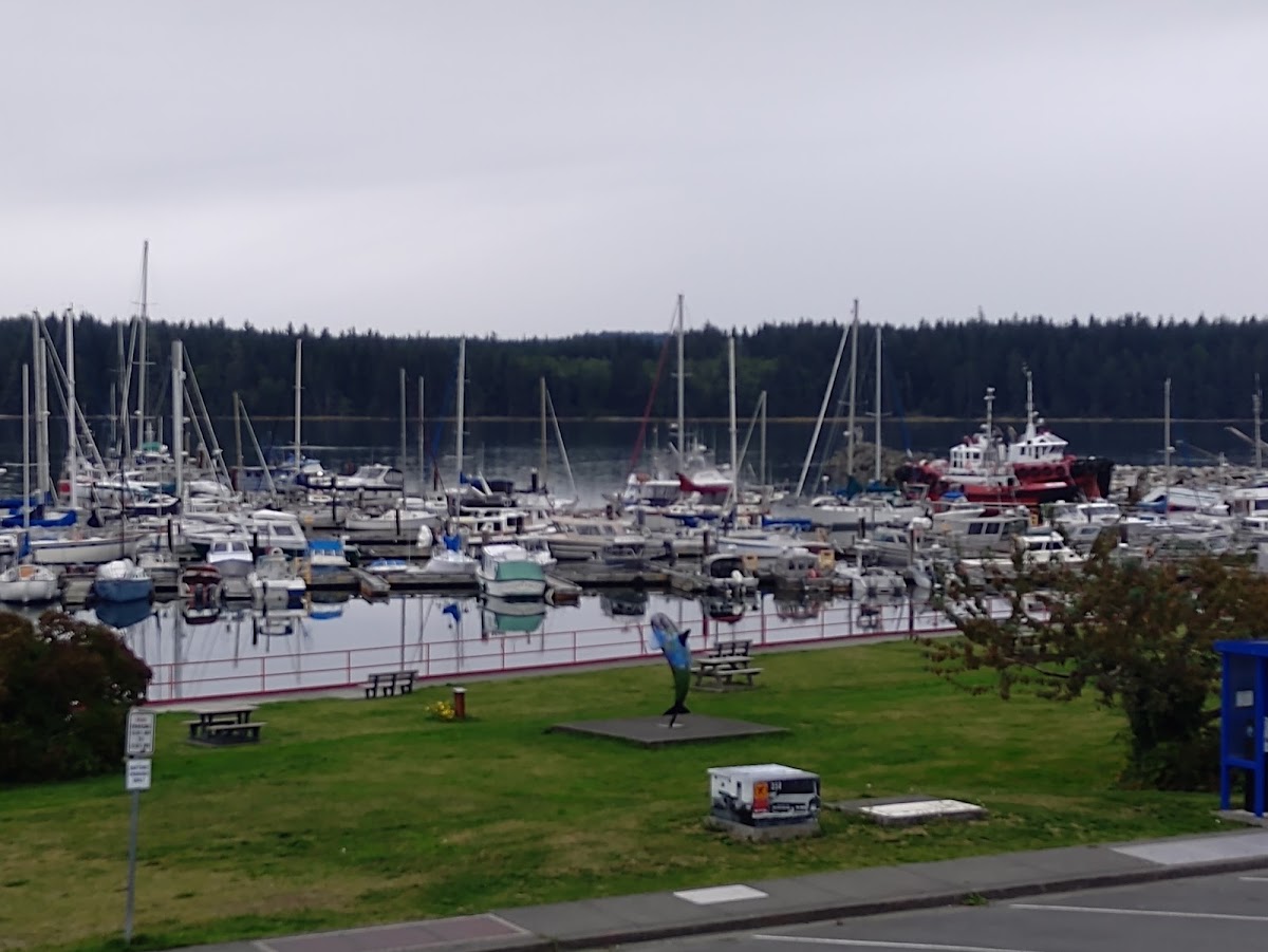 Sportsman's Inn on the Harbour Front
