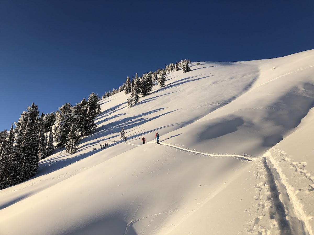 Teton Backcountry Guides