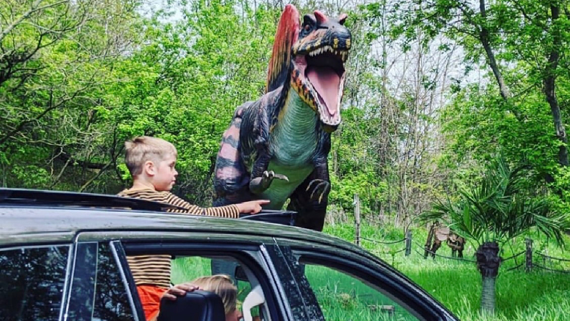 Canada’s Dinosaur Park