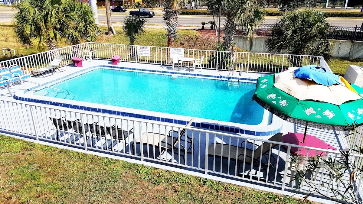 Gator Motel photo 2