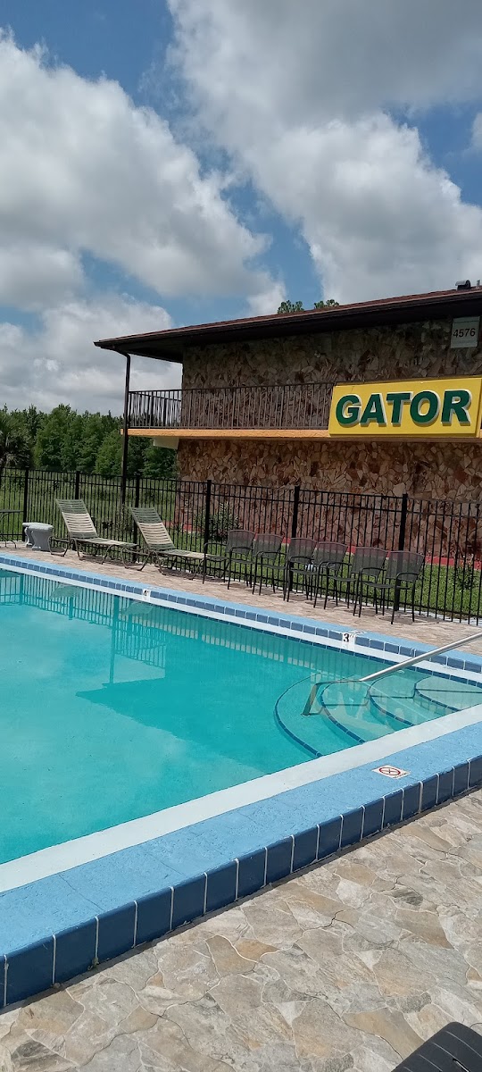 Gator Motel photo 3