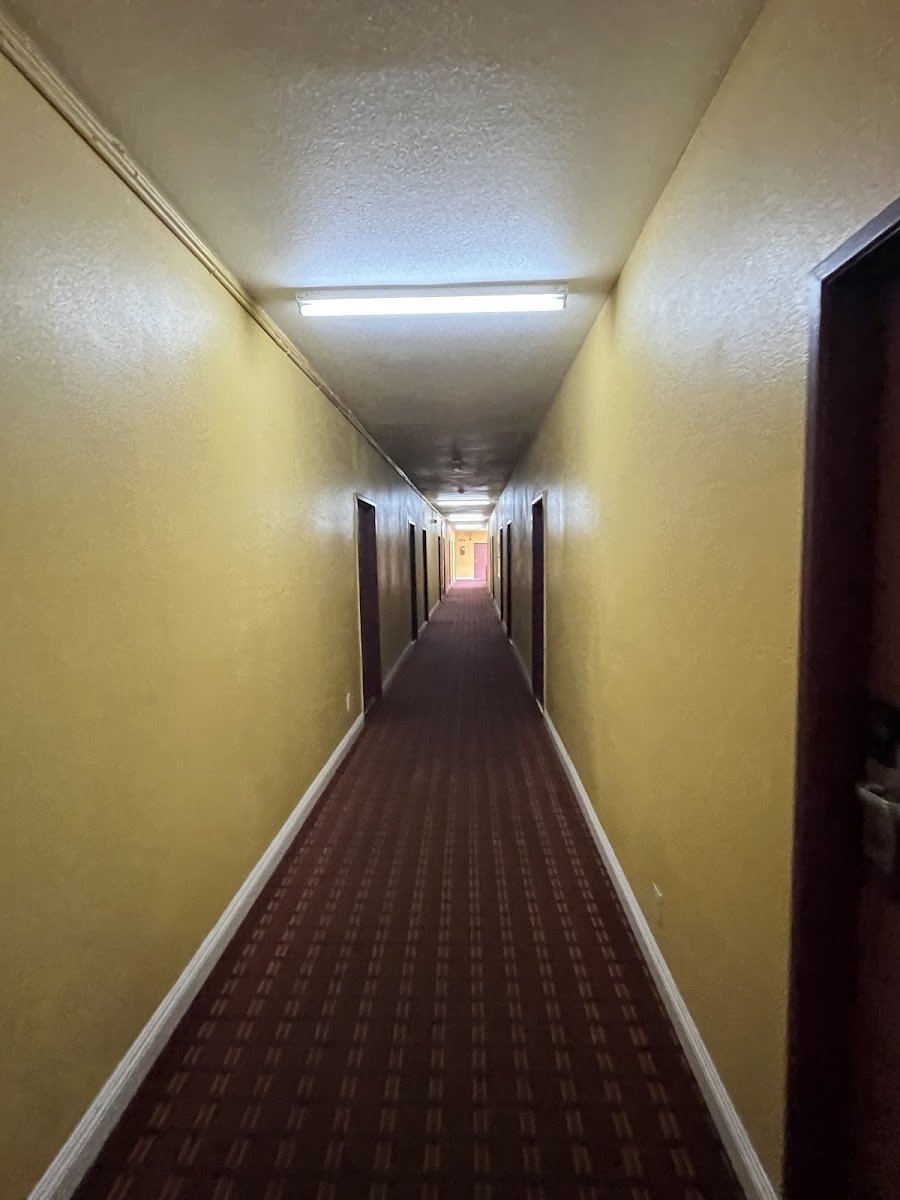 Antonio Hotel photo 2