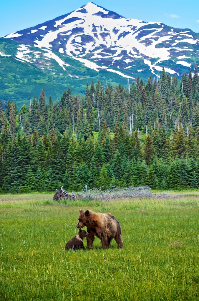 Silver Salmon Creek Lodge photo 3