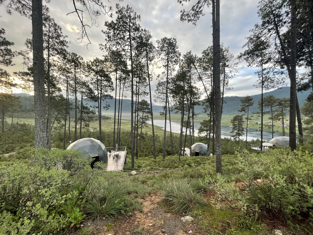 Lobo Glamp photo 2