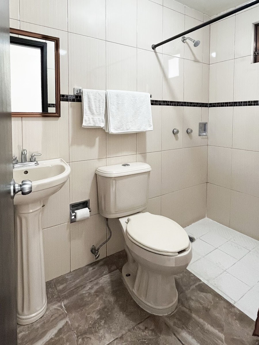 Hotel Villa de Libres photo 3