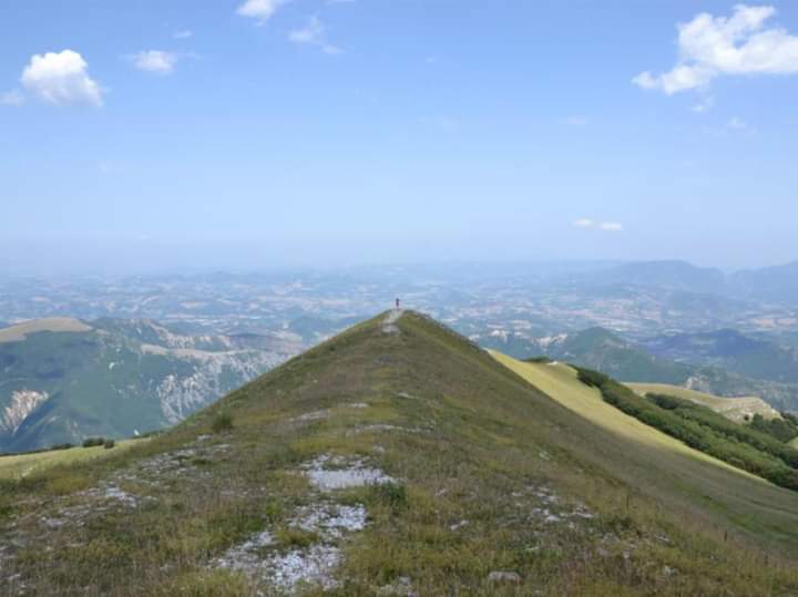 Monte Nerone