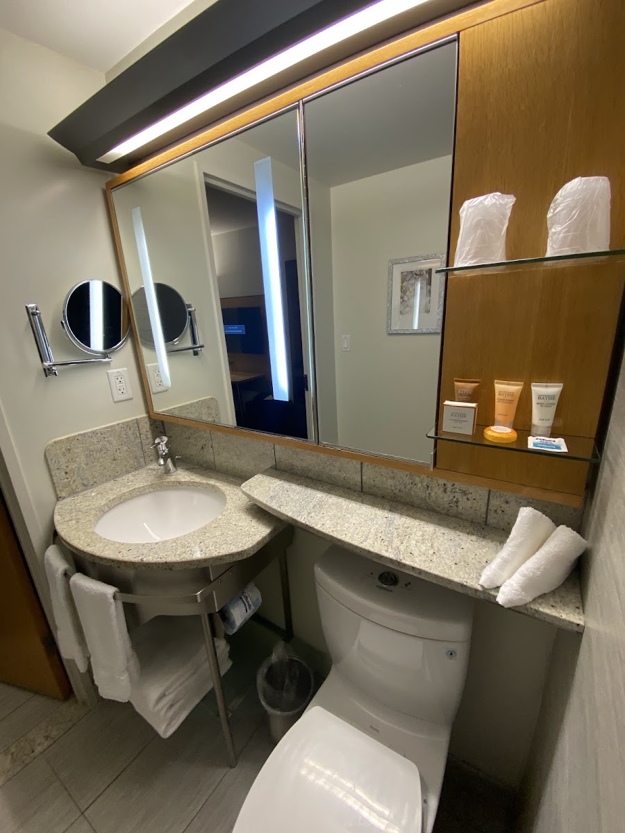 The Jewel Hotel, New York photo 3