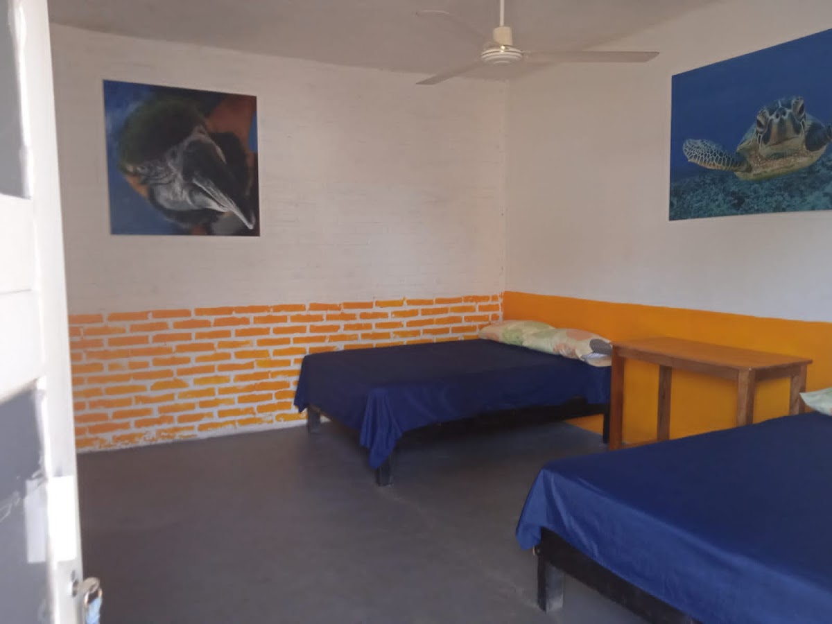 Hotel Casa Tortuga photo 2