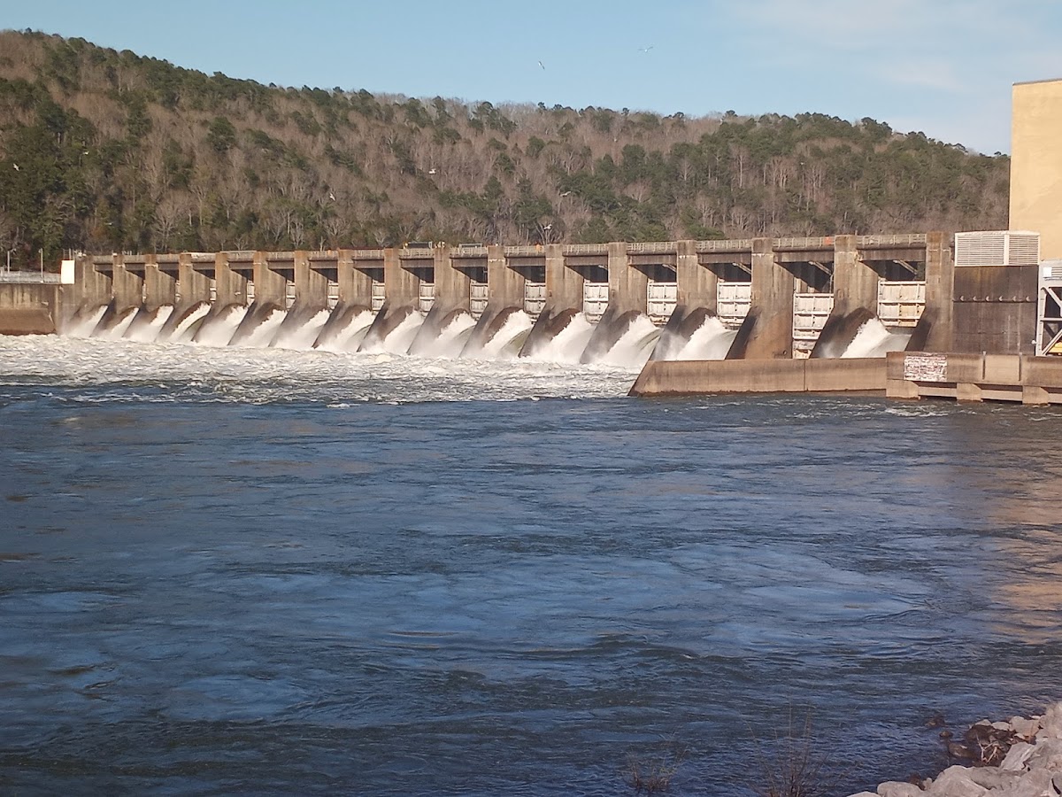 Guntersville Dam