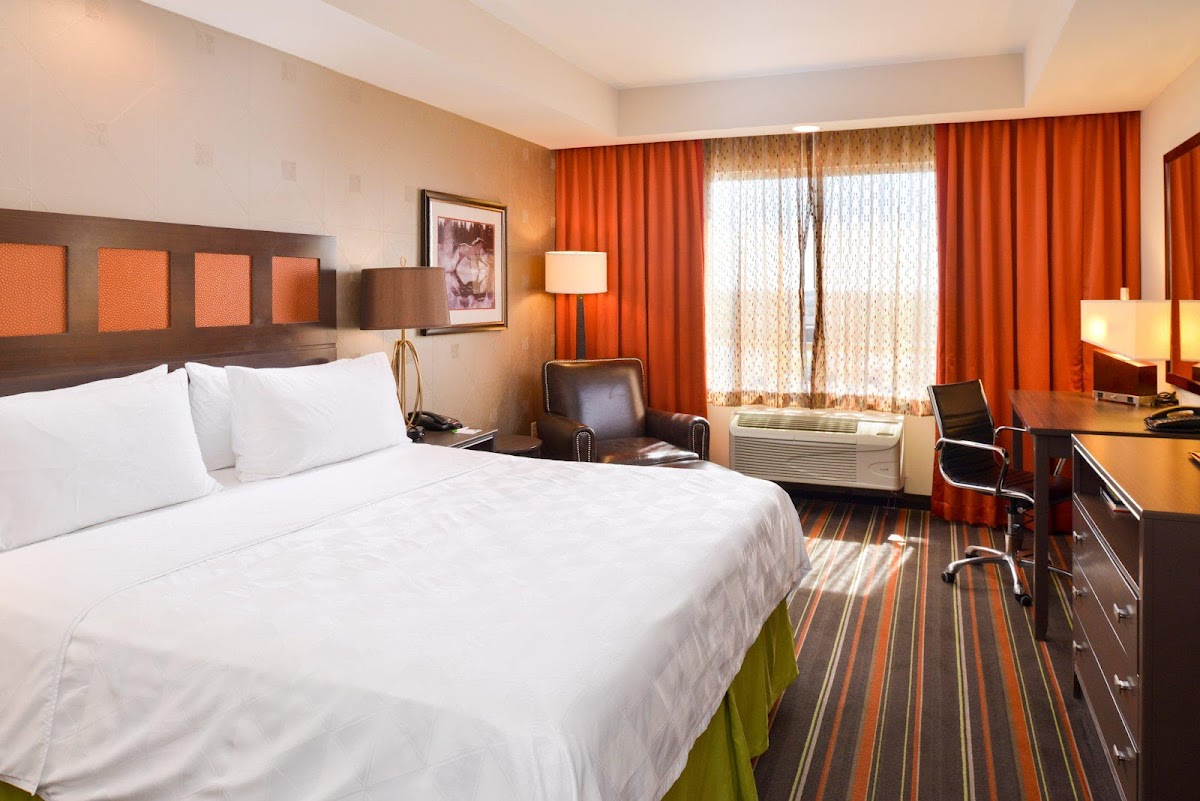 Holiday Inn Amarillo West Medical Center by IHG photo 2