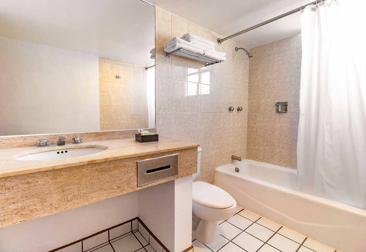Hotel Francia Aguascalientes photo 3