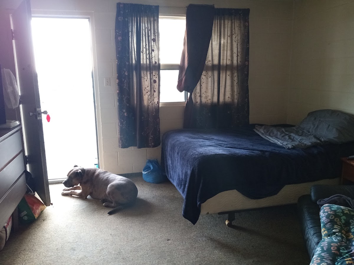 Ellerslie Motel photo 2
