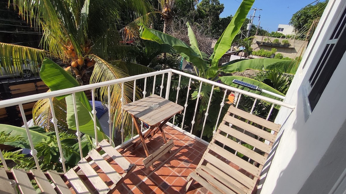 casa bambu