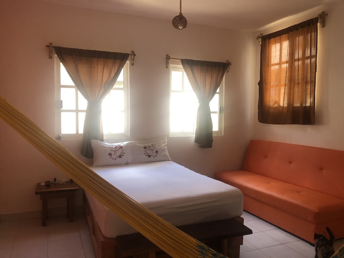 casa bambu photo 2