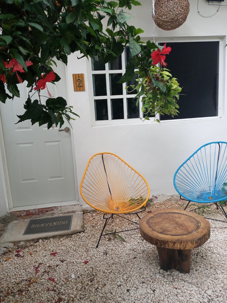 casa bambu photo 3