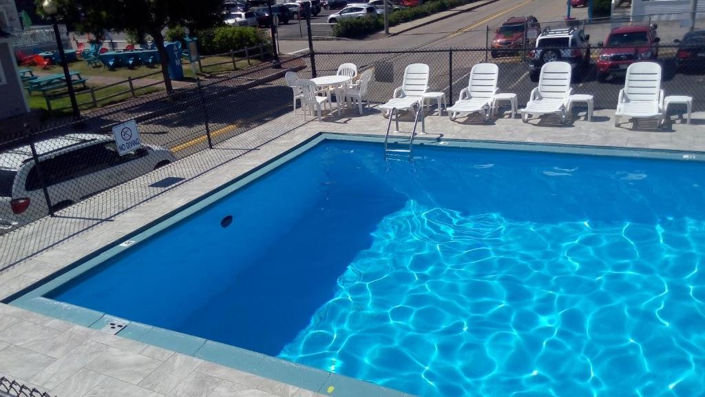 Mt Royal Motel photo 3