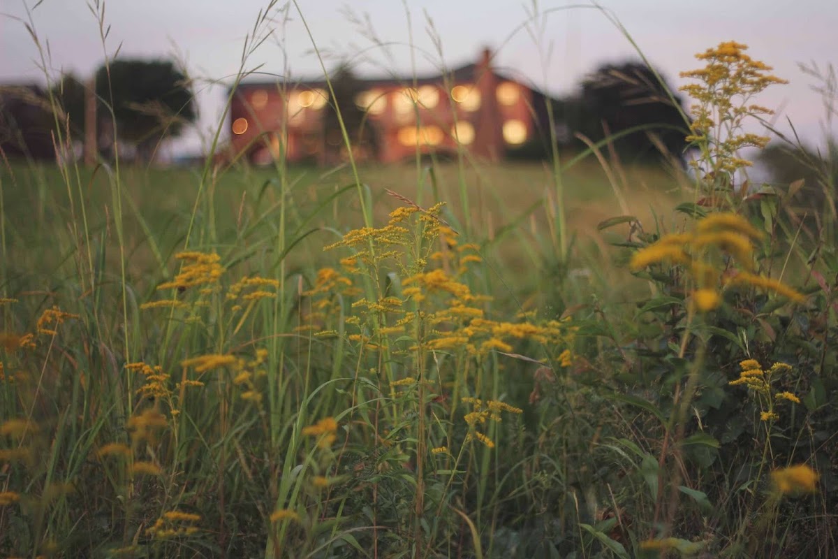 Inn at Schoppee Farm photo 3
