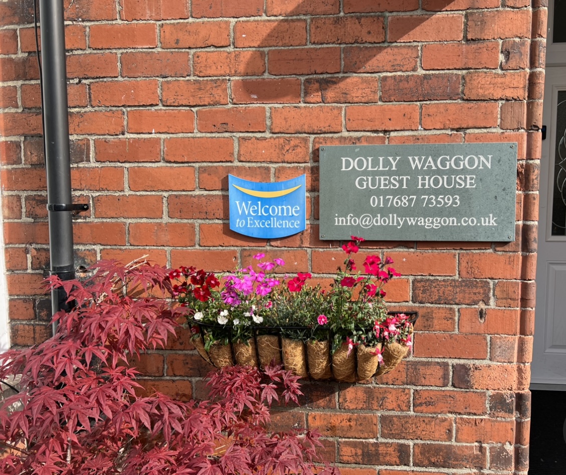Dolly Waggon photo 2